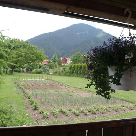 Apartman Turista Pavčina Lehota Exterior foto