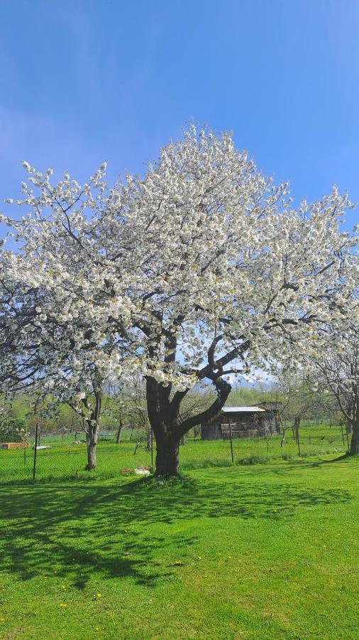 Apartman Turista Pavčina Lehota Exterior foto